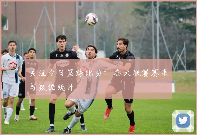 关注今日篮球比分:各大联赛赛果与数据统计